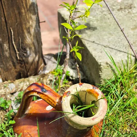 La Torre Rossa 4* Roma