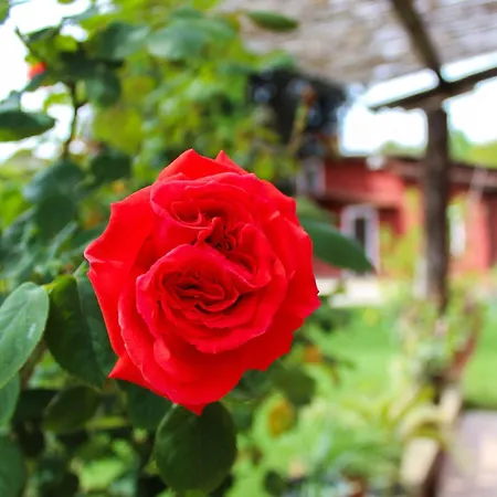 La Torre Rossa 4* Roma