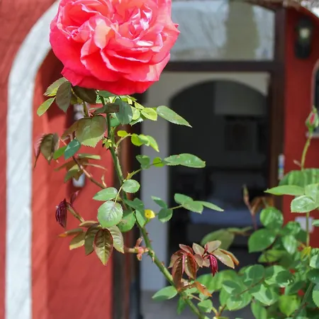 Konukevi La Torre Rossa Roma